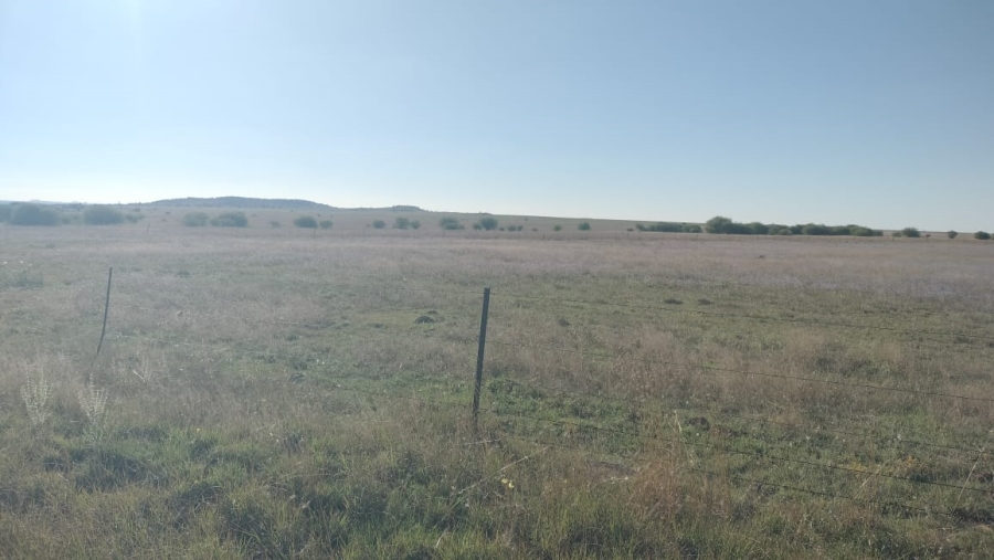 Commercial Property for Sale in Bloemfontein Rural Free State